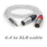 iFi Audio Câble 4.4 mm sur XLR