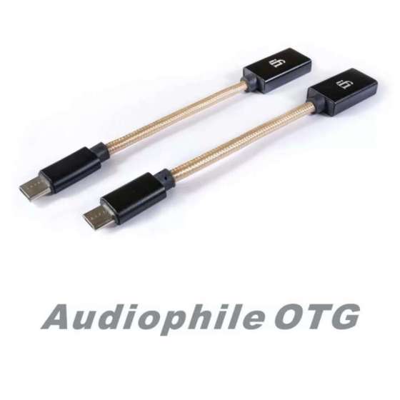 iFi Audio Câble OTG USB-A vers USB-C
