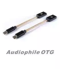 iFi Audio Câble OTG USB-A vers USB-C