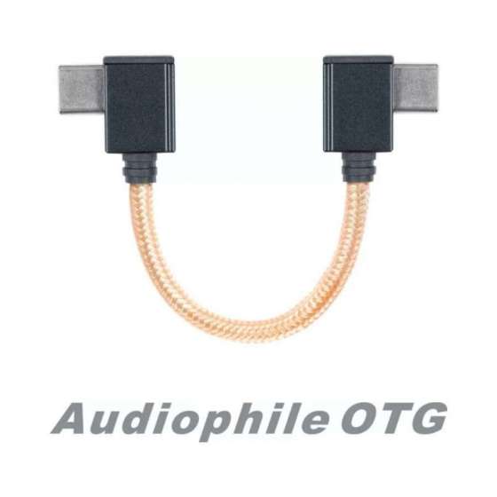 Câble OTG iFi 90° USB-C vers USB-C
