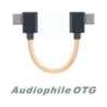 Câble OTG iFi 90° USB-C vers USB-C