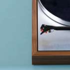 Pro-ject The Classic Evo (2M Silver) | Sub-chassis turntable