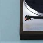 Pro-ject The Classic Evo (2M Silver) | Sub-chassis turntable