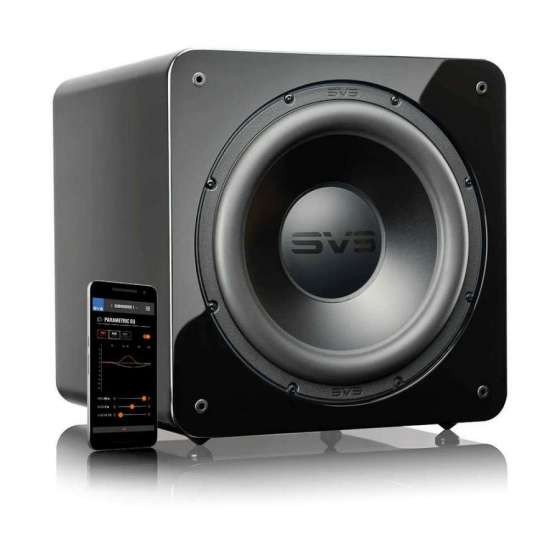 SVS PB-2000 Pro Black Ash | Bass Reflex Home-theatre Subwoofer à Genève | Digistore.ch
