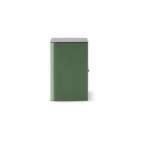 Focal Aria Evo X n°1 Moss Green High Gloss | Enceinte bibliothèque Hi-Fi (pièce)