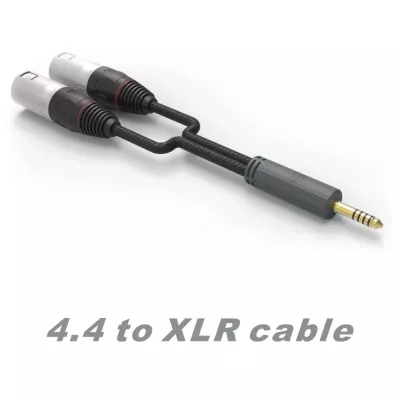 iFi Audio Câble 4.4 mm vers XLR Standard Edition à Genève | Digistore.ch