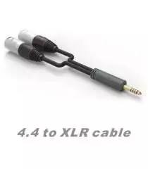 iFi Audio Câble 4.4 mm vers XLR Standard Edition