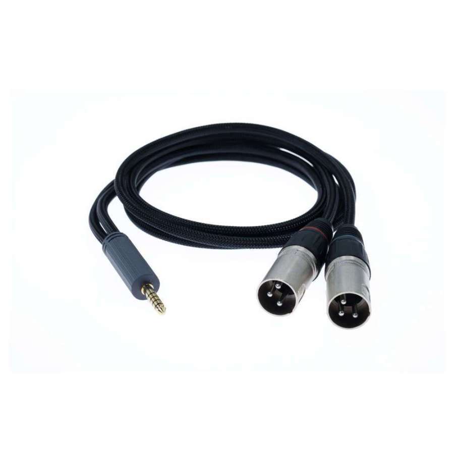 iFi Audio Câble 4.4 mm vers XLR Standard Edition