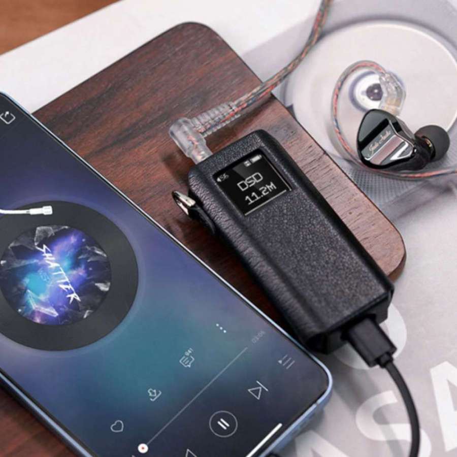 FiiO SK-BTR15 | Etui pour BTR15