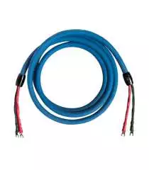 Cardas Clear Speaker 5 mètres (paire)