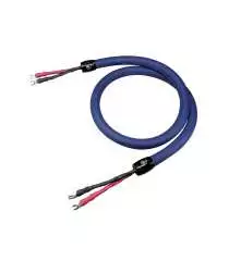 Cardas Clear Beyond Speaker 2,5 mètres (paire)