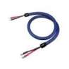 Cardas Clear Beyond Speaker 3 mètres (paire)