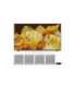 Pack Sony XR-98X90LAEP + Bravia Theatre Quad (HTA9M2.CELL)