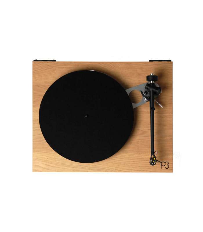 Rega Planar 3 Platine Vinyle
