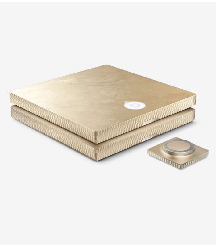 Devialet Astra Dual | Amplificateur 2x600W Haut de Gamme