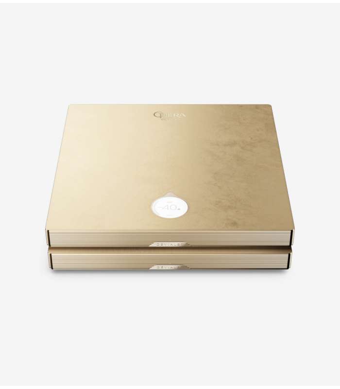 Devialet Astra Dual | Amplificateur 2x600W Haut de Gamme