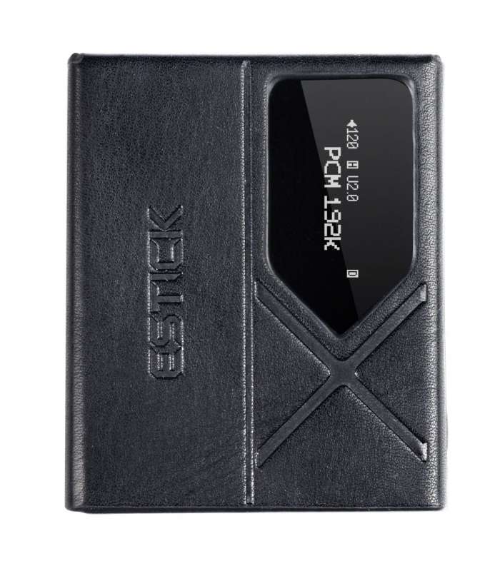 FiiO SK-ESTICK | Etui pour ESTICK et KA17