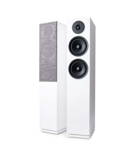 ARGON FORUS 55 : Enceintes Passives au Design Scandinave (Paire) à Genève | Digistore.ch
