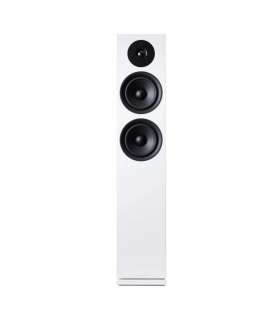ARGON FORUS 55 : Enceintes Passives au Design Scandinave (Paire) à Genève | Digistore.ch