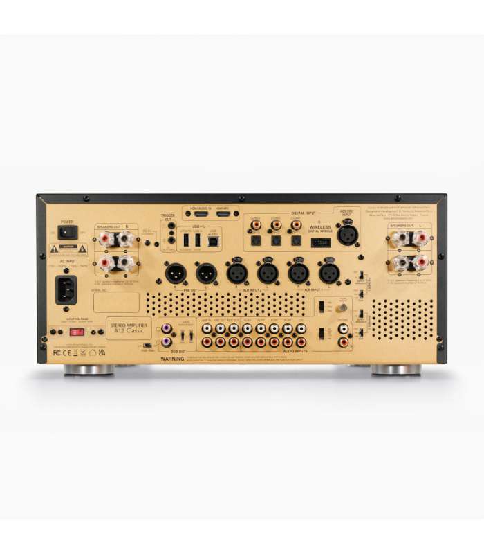 Advance Paris A12 Classic | Amplificateur Intégré avec Préampli à Tubes