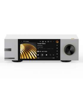 Eversolo DMP-A6 Master Edition Gen 2 - Streamer musical haut de gamme à Genève | Digistore.ch
