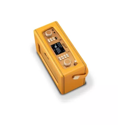 ROBERTS Revival iStream 3L – La Radio Vintage Connectée à Genève | Digistore.ch