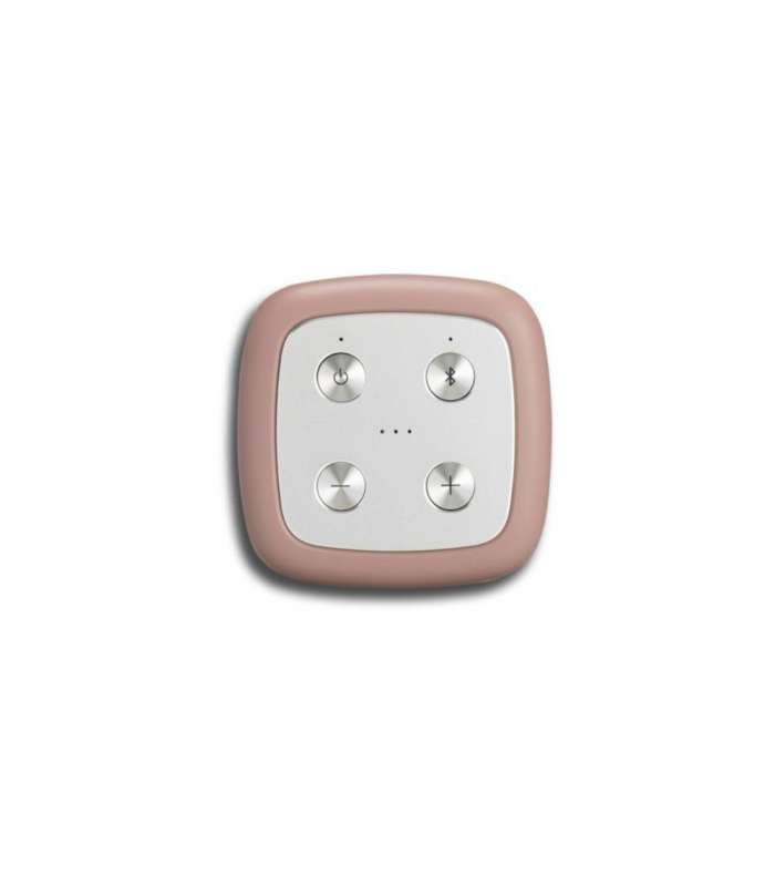 Roberts Beacon 325 L | Une Enceinte Bluetooth Élégante et Puissante