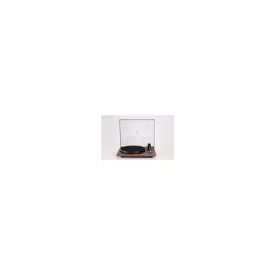 Rega PLANAR 1 PLUS in Geneva | Digistore.ch