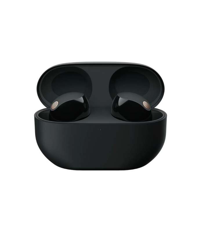 Sony WF-1000XM5B | Écouteurs True Wireless à Réduction de Bruit