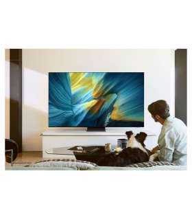 Samsung QE65S95FATXZU | TV 4K OLED avec IA | à Genève | Digistore.ch