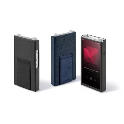 Fall Astell&Kern PD20 Grey in Genf | Digistore.ch