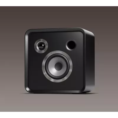 Eversolo SE-100 in Geneva | Digistore.ch