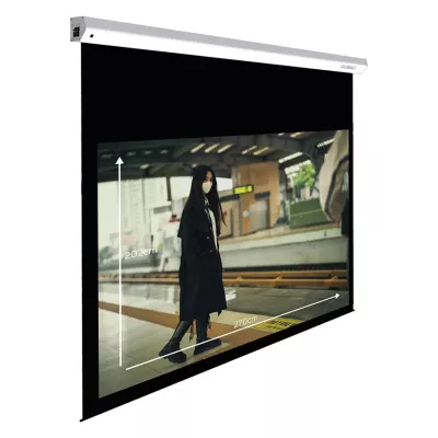 Lumene Majestic HD 270V 4:3 (270 cm) in Geneva | Digistore.ch