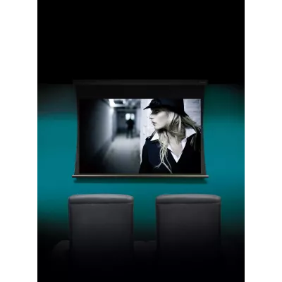 Lumene Coliseum UHD 4K 300C 16:9 (305 cm) in Geneva | Digistore.ch