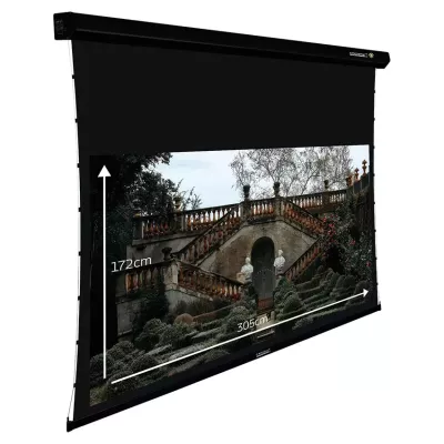 Lumene Coliseum UHD 4K/8K Platinum 300C 16:9 (305 cm) in Geneva | Digistore.ch