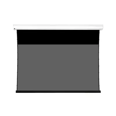 Lumene Coliseum Extra Bright 200C 16:9 (203 cm) à Genève | Digistore.ch