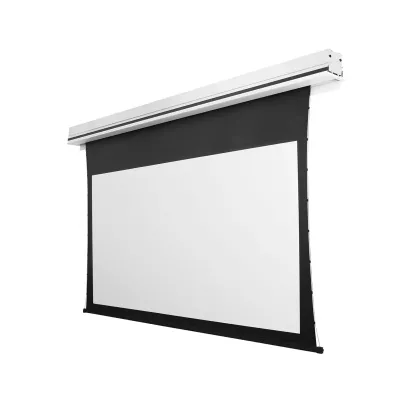 Lumene Show Place UHD 4K Acoustic 270C 16:9 (266 cm) in Geneva | Digistore.ch