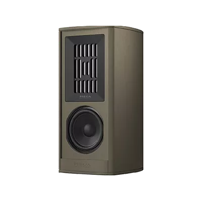 Piega Coax 411 a Ginevra | Digistore.ch
