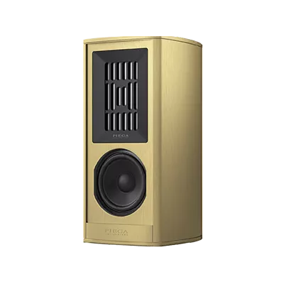 Piega Coax 411 a Ginevra | Digistore.ch
