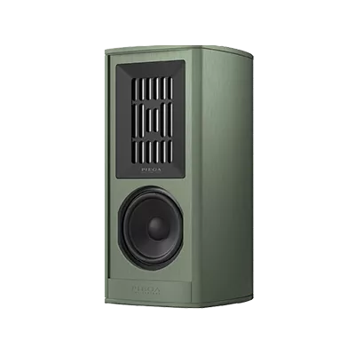 Piega Coax 411 a Ginevra | Digistore.ch