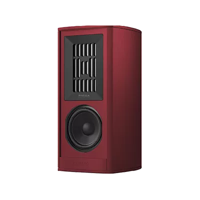 Piega Coax 411 a Ginevra | Digistore.ch