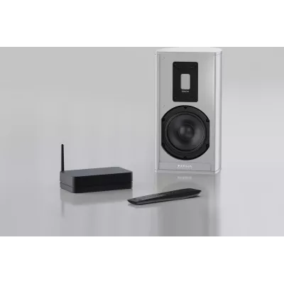 Piega Connect Plus à Genève | Digistore.ch