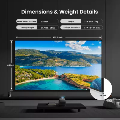 JMGO Écran Fresnel ALR 120" à Genève | Digistore.ch