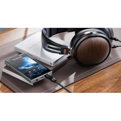 FiiO JM21 in Genf | Digistore.ch