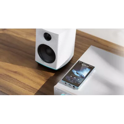 FiiO JM21 in Genf | Digistore.ch