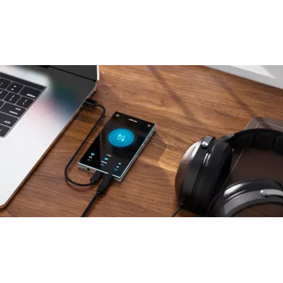 FiiO JM21 in Genf | Digistore.ch