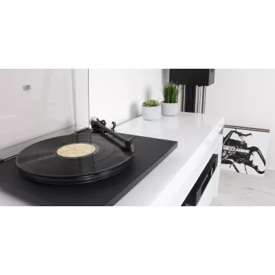 Rega P6 SE + Ania Pro + Fono MC à Genève | Digistore.ch
