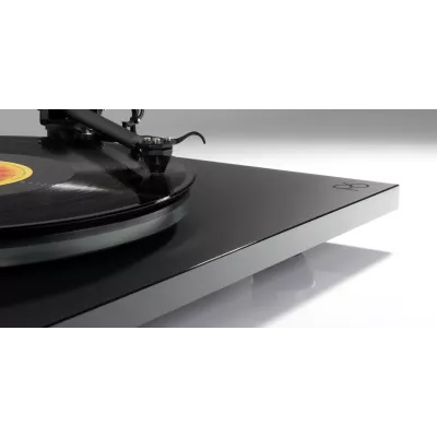 Rega P6 SE + Ania Pro + Fono MC à Genève | Digistore.ch
