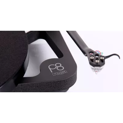 Rega P8 SE + Ania + Fono MC in Genf | Digistore.ch