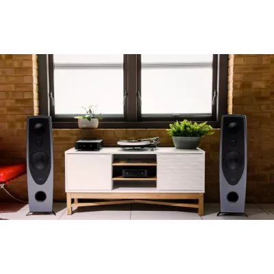 Rega Naia SE + Aphelion 2 + Aura MC in Genf | Digistore.ch